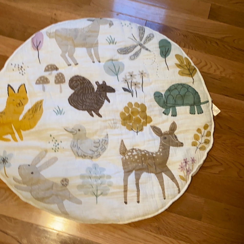 Pottery barn play mat